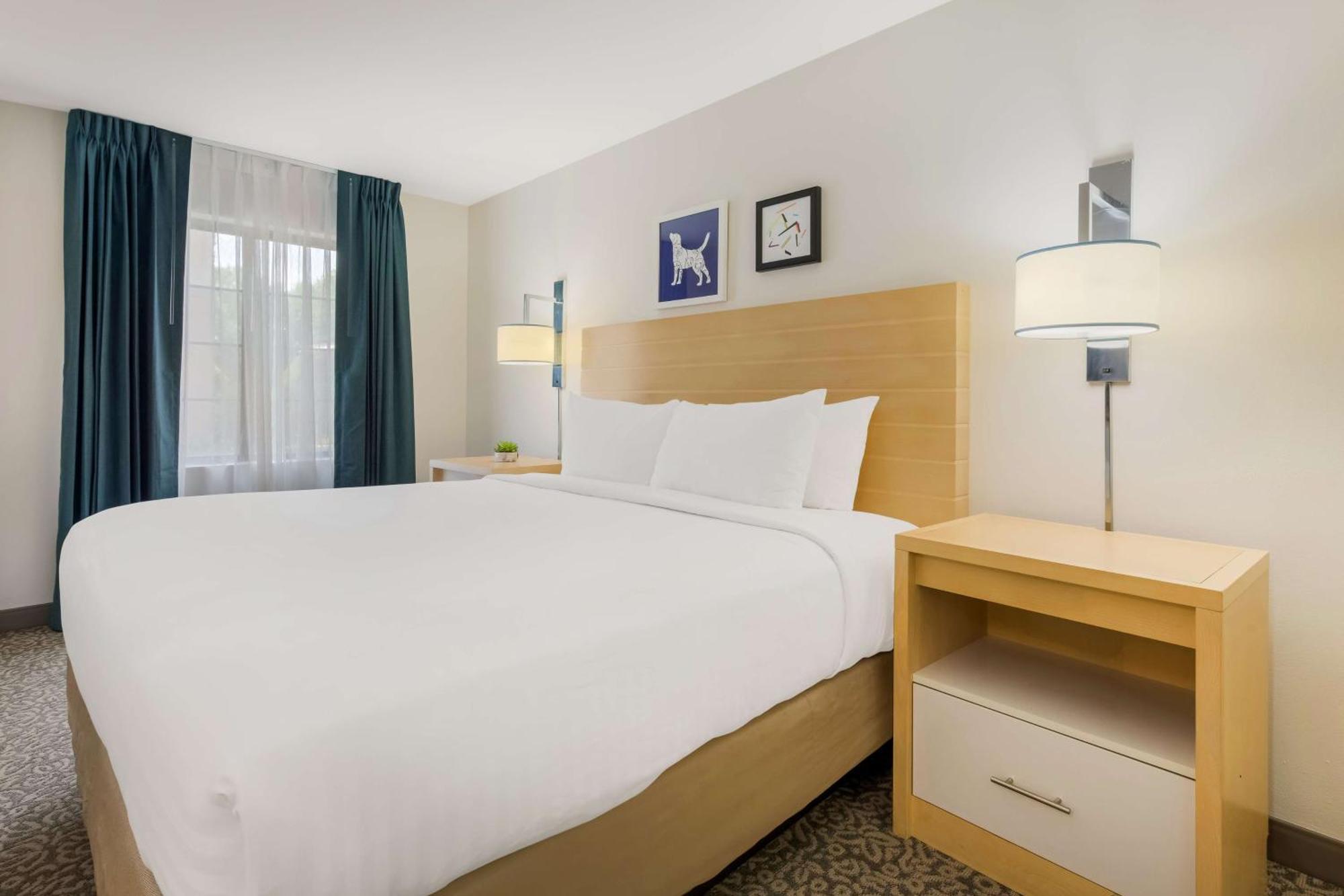 Sonesta Es Suites Charlotte Arrowood מראה חיצוני תמונה