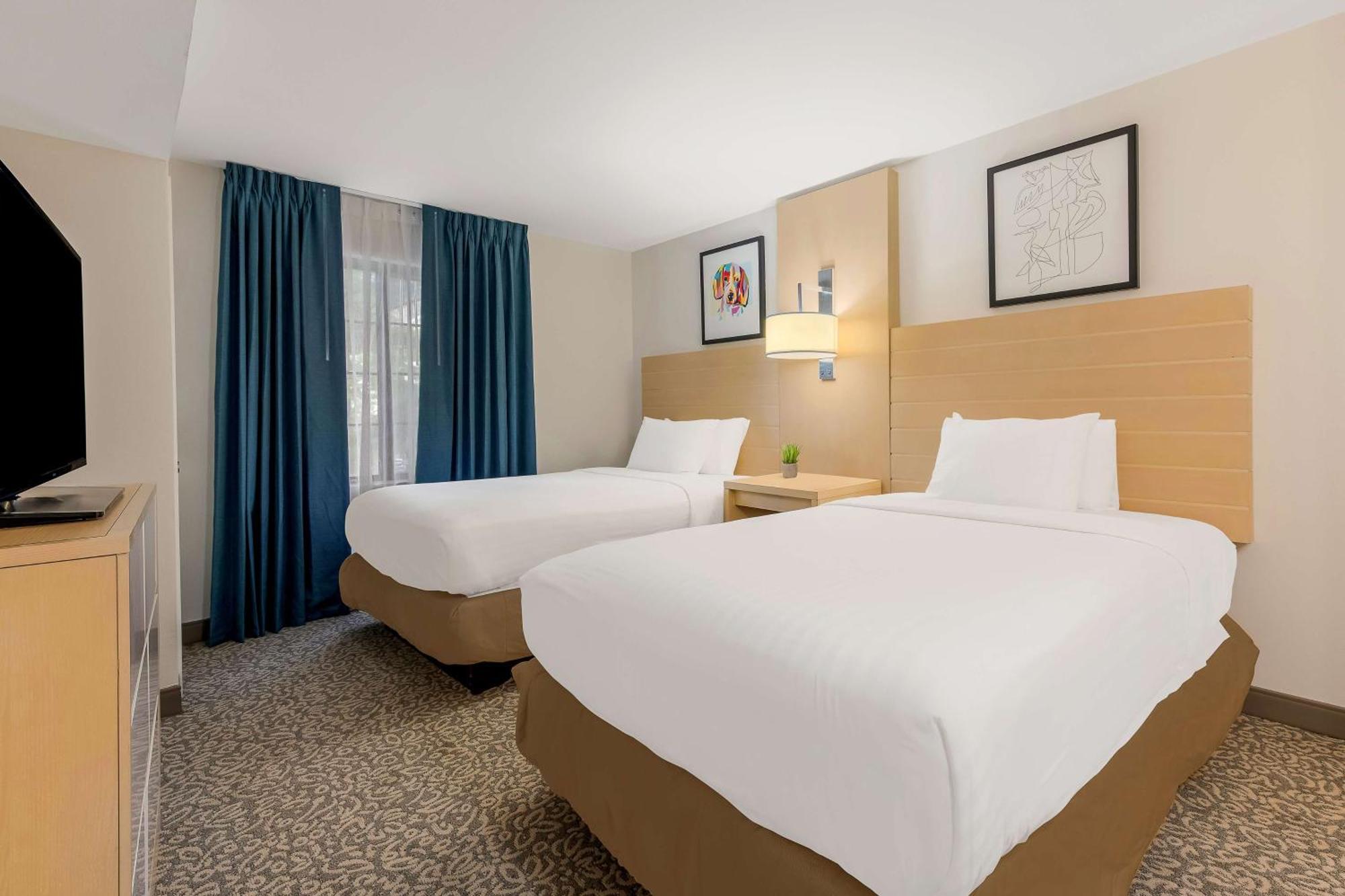 Sonesta Es Suites Charlotte Arrowood מראה חיצוני תמונה